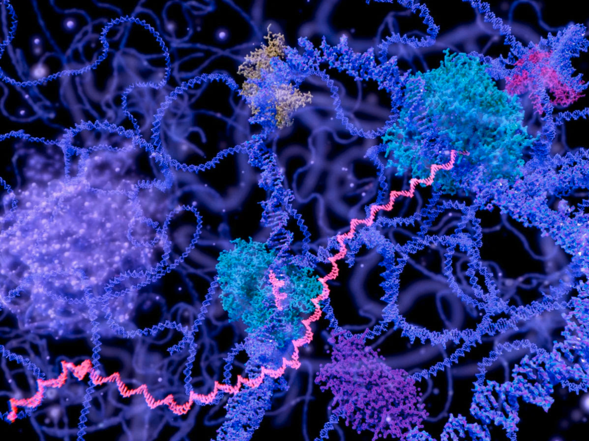 The Genetic “Swiss Army Knife” That Could Rewrite Medicine Without Leaving Scars
